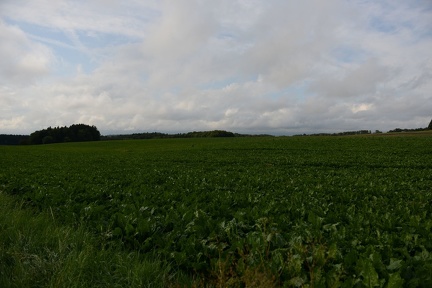 DSC 5276