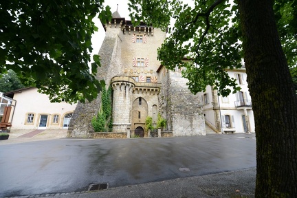 DSC 5248