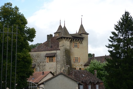 DSC 5265